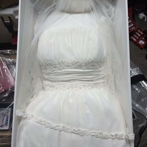 Davids Bridal Wedding DRESS V9743 Sz 18W Ivory Empire Waist Beaded - Picture 1 of 5